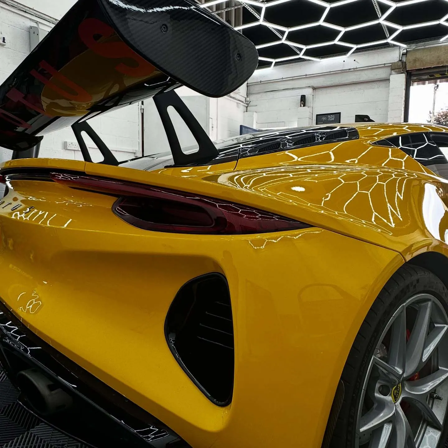 Back end view of Yellow Lotus